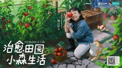  辣目洋子“回村”代言游戏 《小森生活》3月31日 